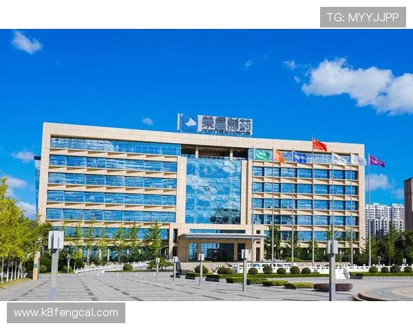 K8集团网站的多语言支持与国际化发展策略,满足全球用户多样化的访问需求