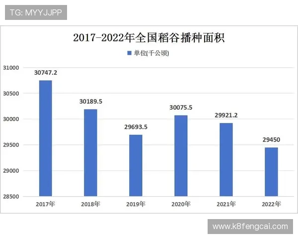 伊拉克对挪威比赛比分揭晓，赛况分析与未来展望